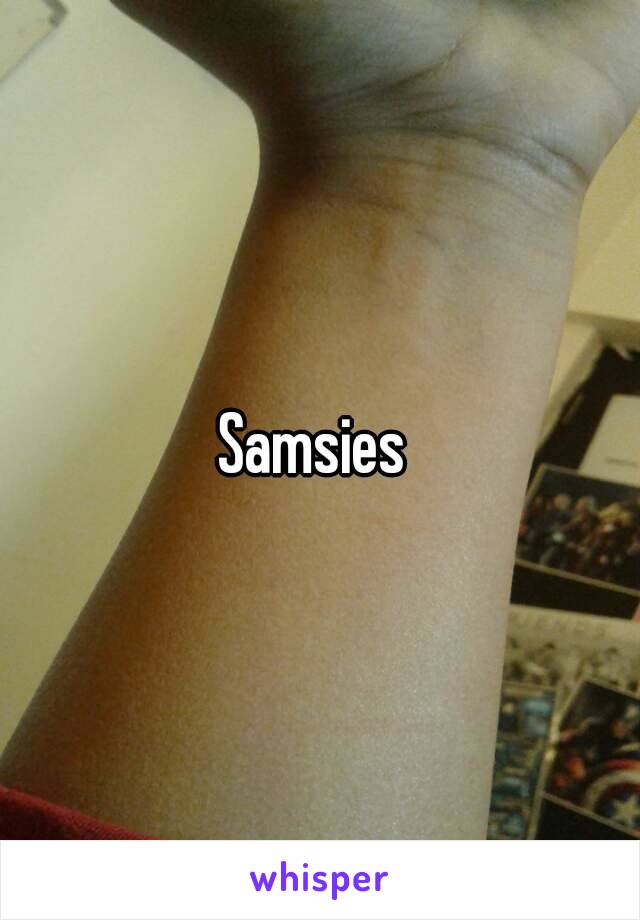 Samsies 