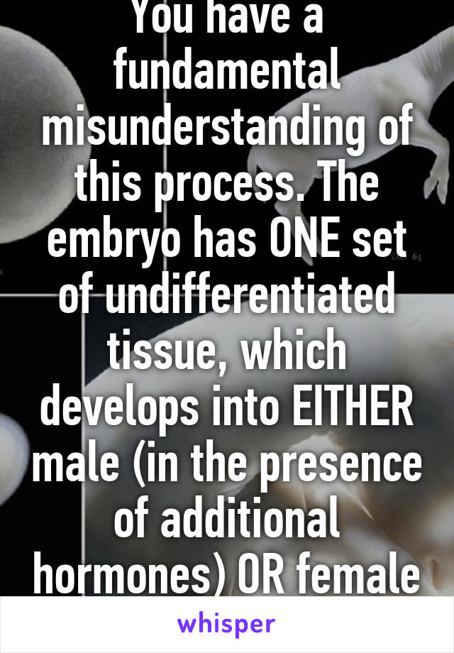 You have a fundamental misunderstanding of this process. The embryo has ONE set of undifferentiated tissue, which develops into EITHER male (in the presence of additional hormones) OR female genitalia.