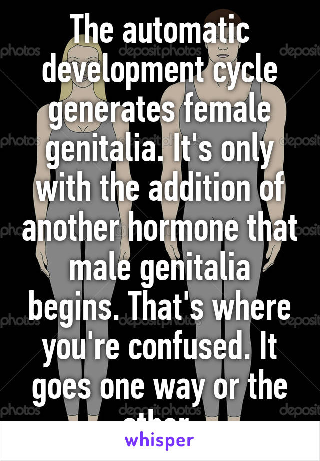 The automatic development cycle generates female genitalia. It's only with the addition of another hormone that male genitalia begins. That's where you're confused. It goes one way or the other.