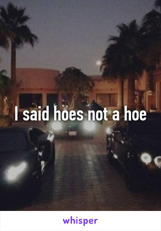 I said hoes not a hoe