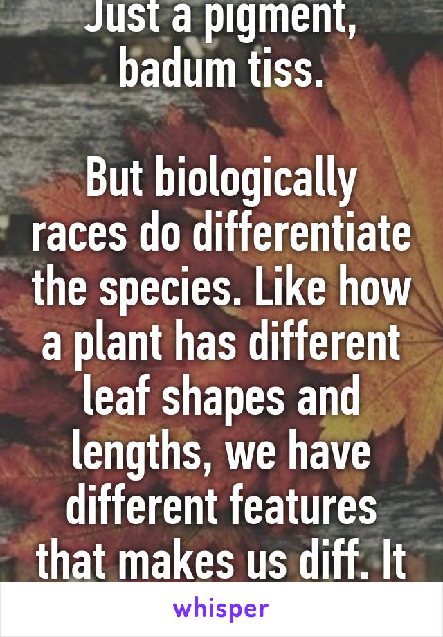 Just a pigment, badum tiss.

But biologically races do differentiate the species. Like how a plant has different leaf shapes and lengths, we have different features that makes us diff. It cool. 