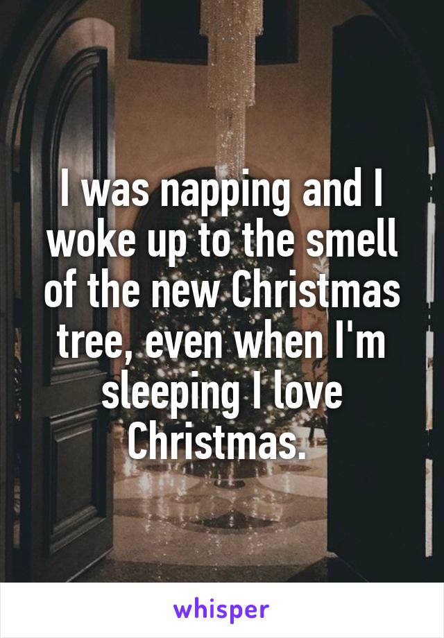 I was napping and I woke up to the smell of the new Christmas tree, even when I'm sleeping I love Christmas. 