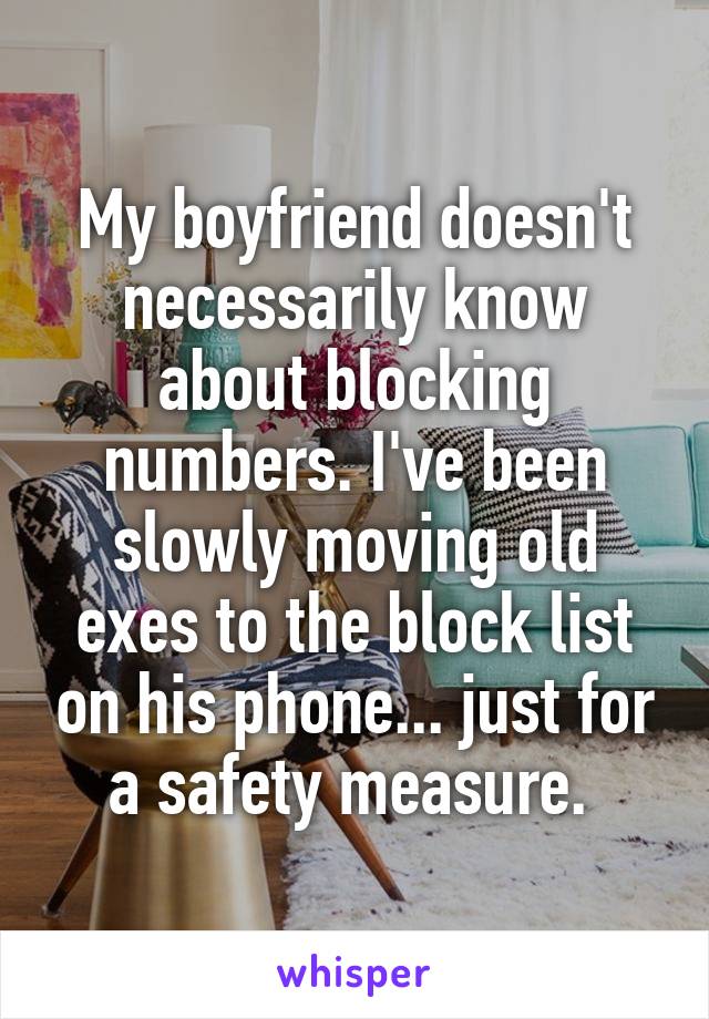 My boyfriend doesn't necessarily know about blocking numbers. I've been slowly moving old exes to the block list on his phone... just for a safety measure. 