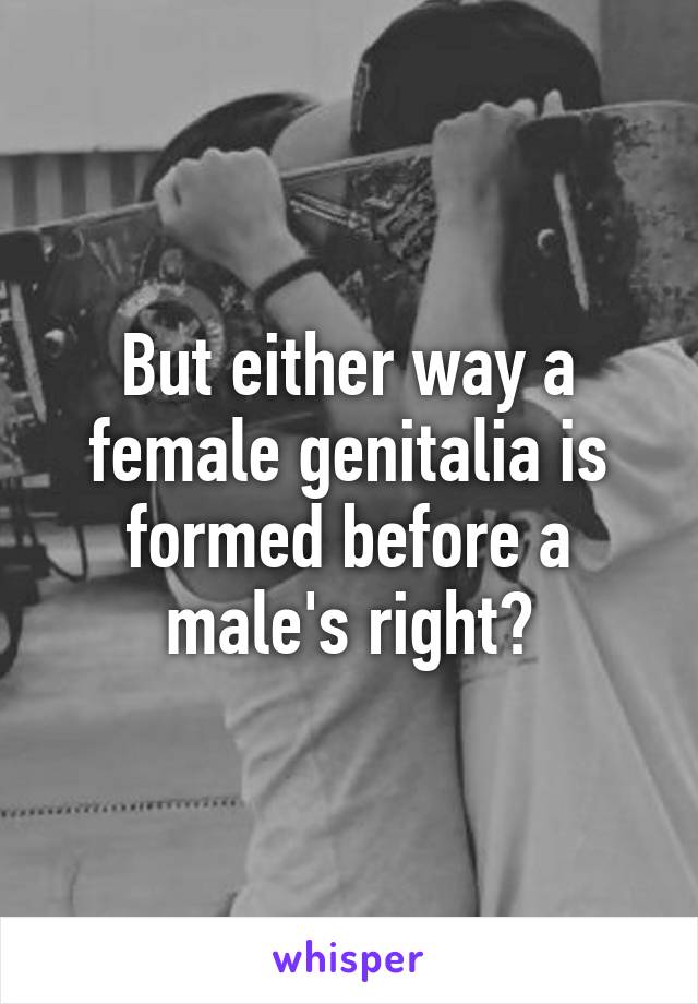 But either way a female genitalia is formed before a male's right?