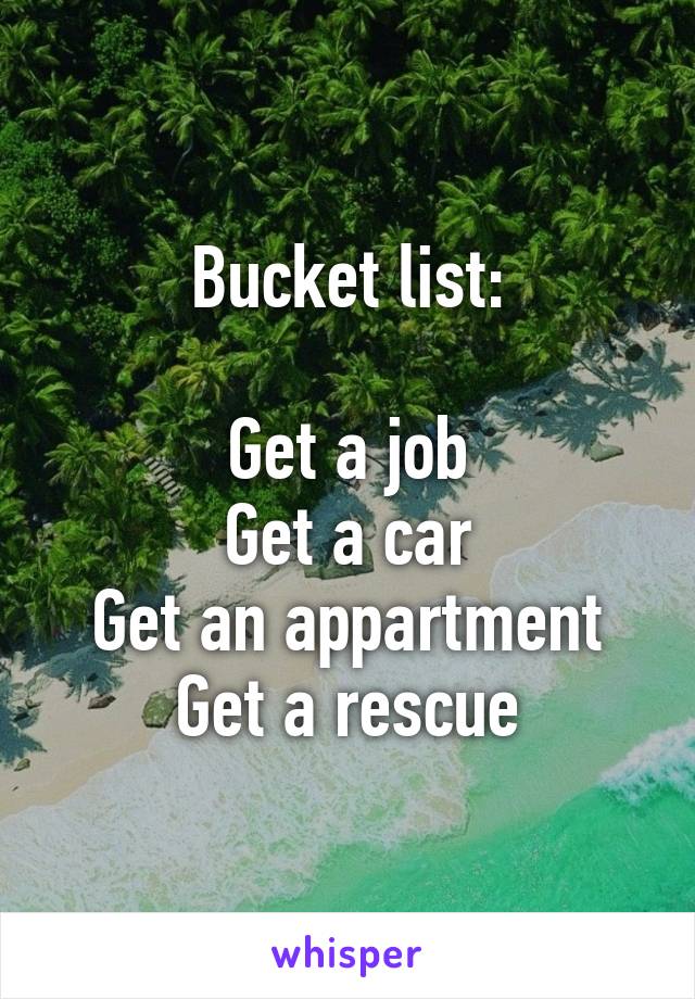 Bucket list:

Get a job
Get a car
Get an appartment
Get a rescue