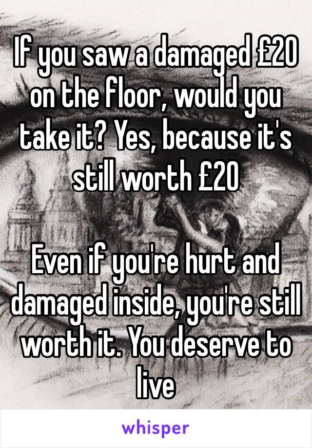 If you saw a damaged £20 on the floor, would you take it? Yes, because it's still worth £20

Even if you're hurt and damaged inside, you're still worth it. You deserve to live