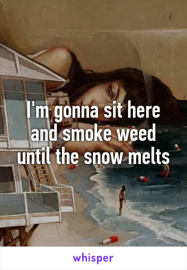 I'm gonna sit here and smoke weed until the snow melts