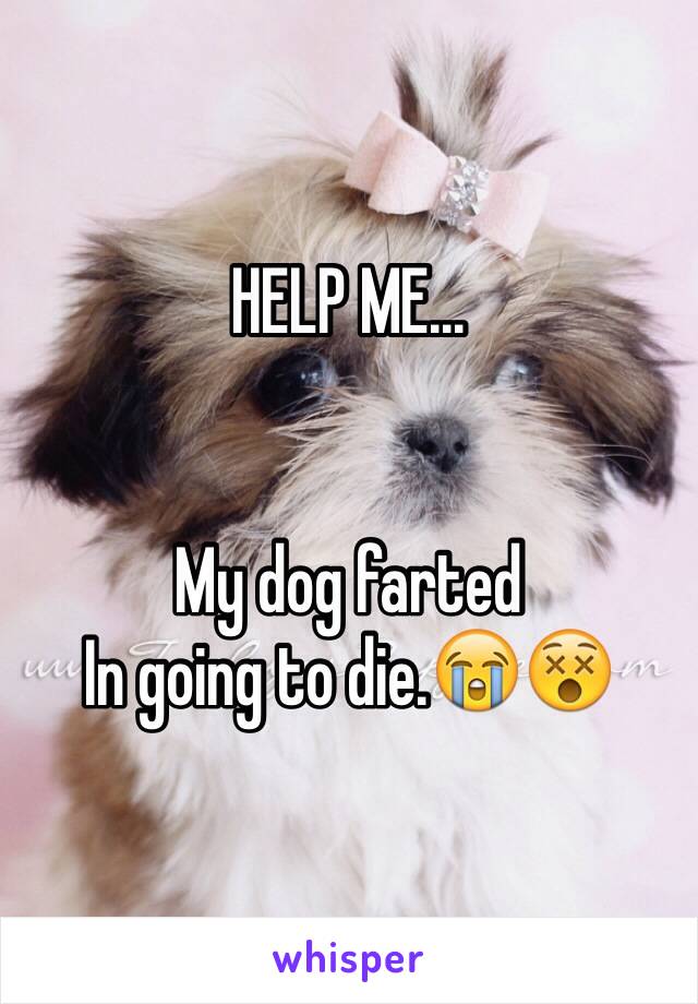 HELP ME...


My dog farted
In going to die.😭😵