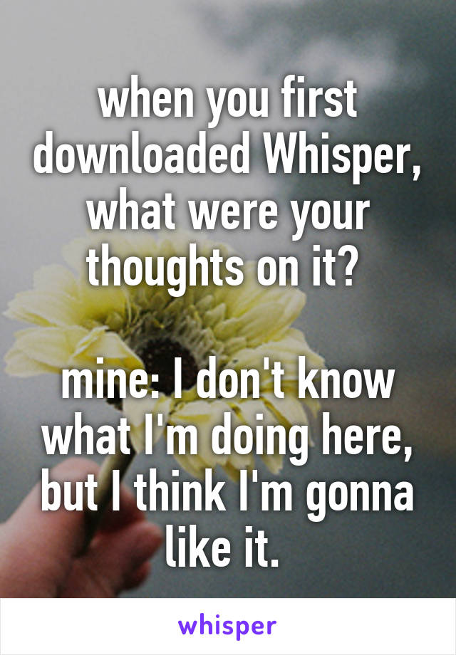 when you first downloaded Whisper, what were your thoughts on it? 

mine: I don't know what I'm doing here, but I think I'm gonna like it. 