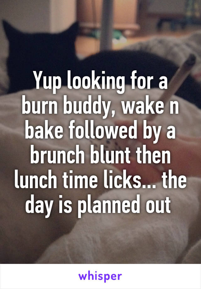 Yup looking for a burn buddy, wake n bake followed by a brunch blunt then lunch time licks... the day is planned out 