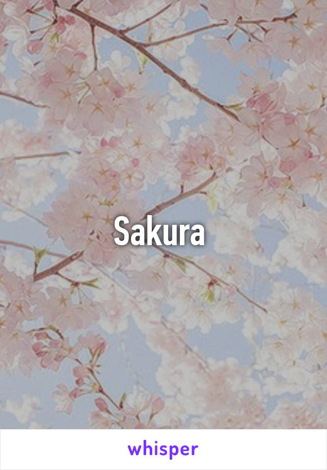 Sakura 