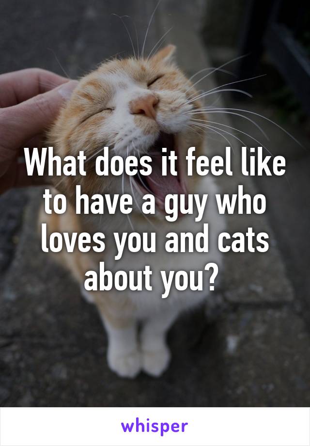 What does it feel like to have a guy who loves you and cats about you? 