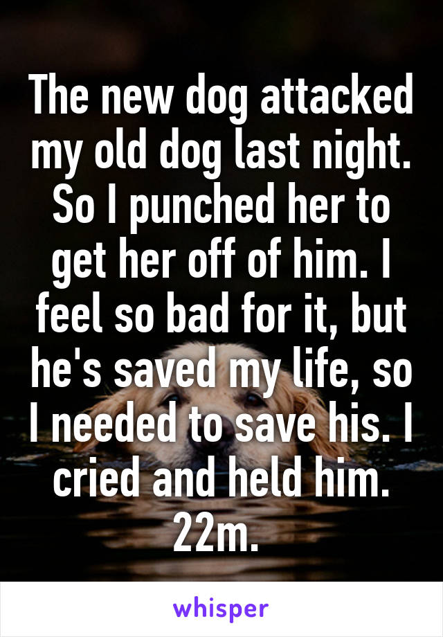 The new dog attacked my old dog last night. So I punched her to get her off of him. I feel so bad for it, but he's saved my life, so I needed to save his. I cried and held him. 22m. 