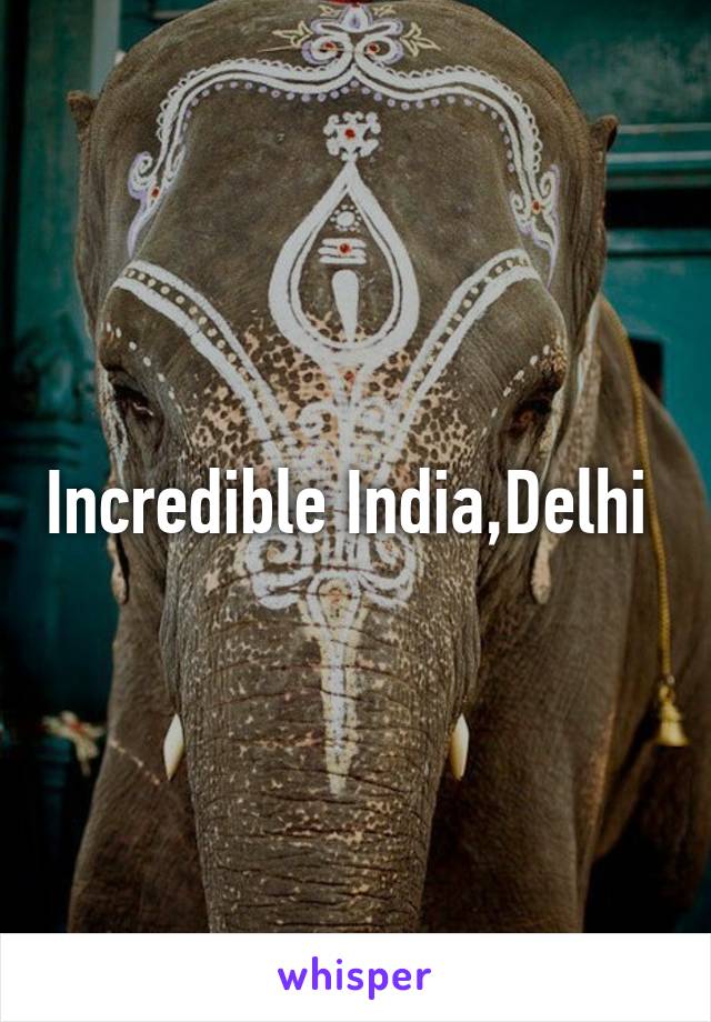 Incredible India,Delhi 