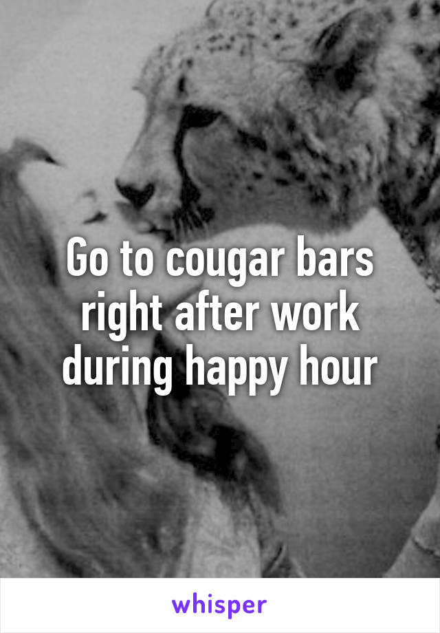 Go to cougar bars right after work during happy hour