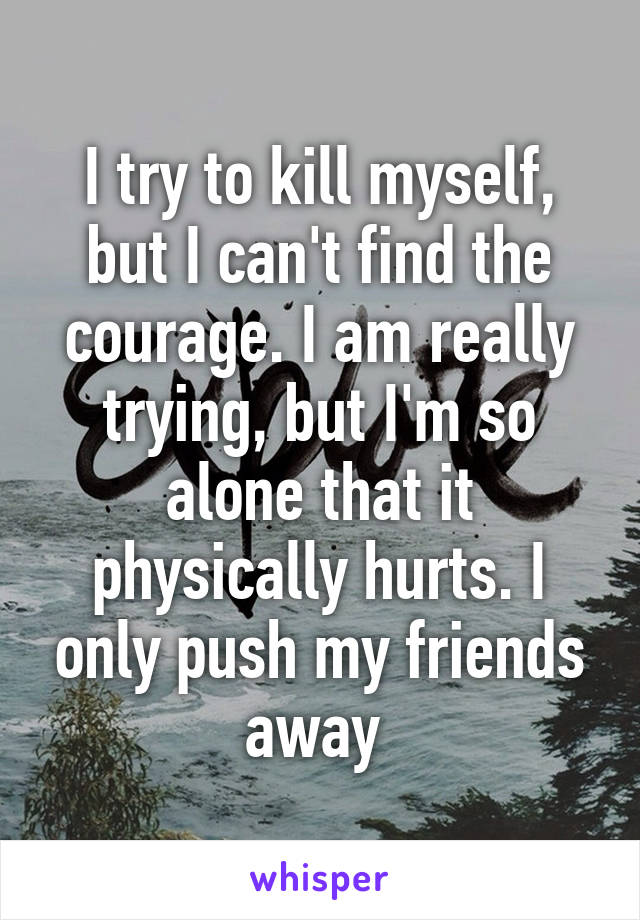 I try to kill myself, but I can't find the courage. I am really trying, but I'm so alone that it physically hurts. I only push my friends away 