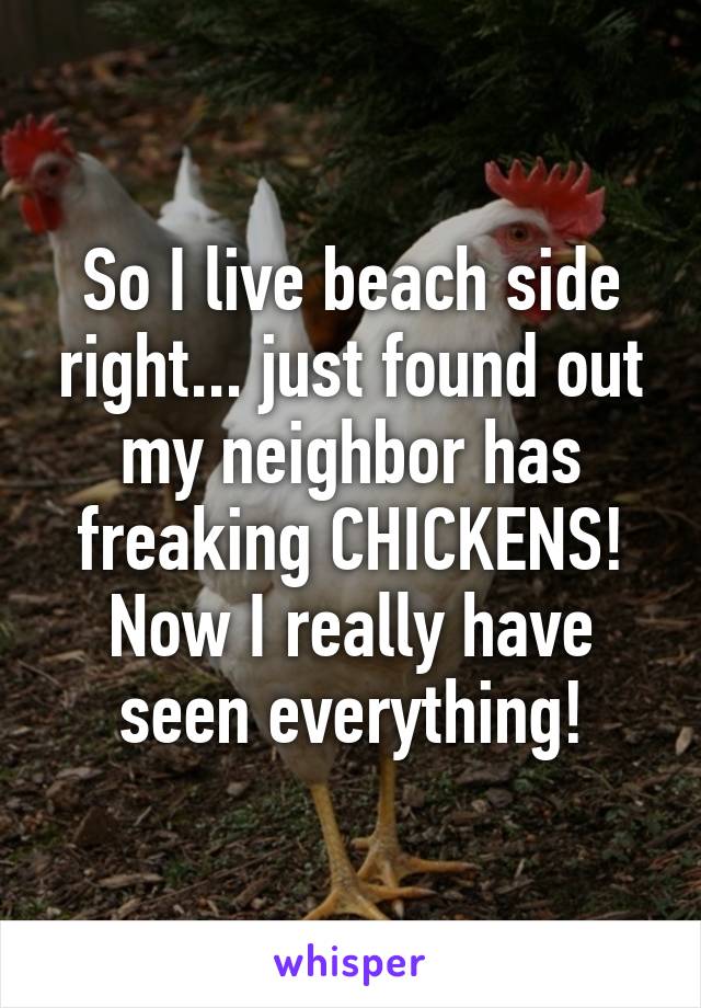 So I live beach side right... just found out my neighbor has freaking CHICKENS! Now I really have seen everything!