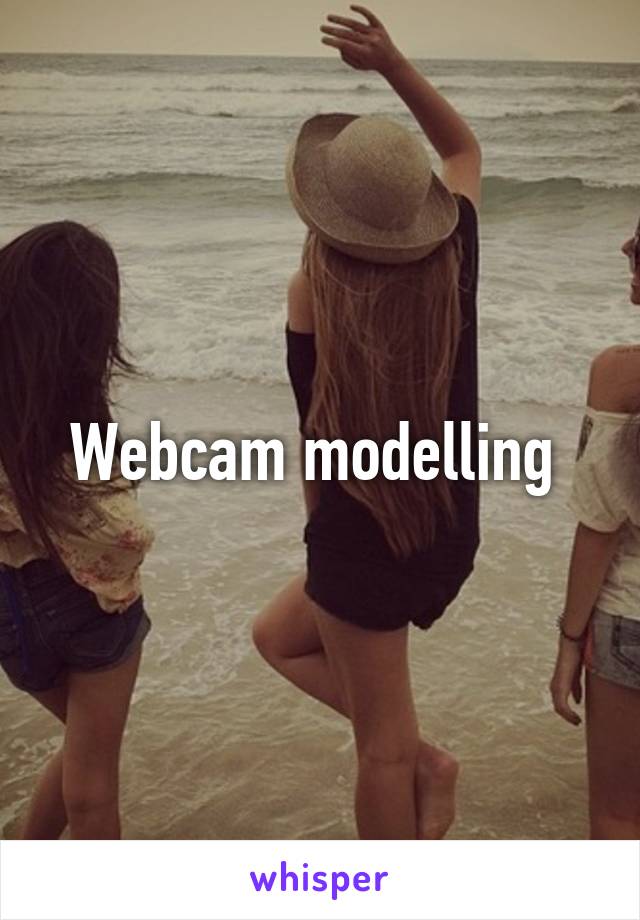 Webcam modelling 