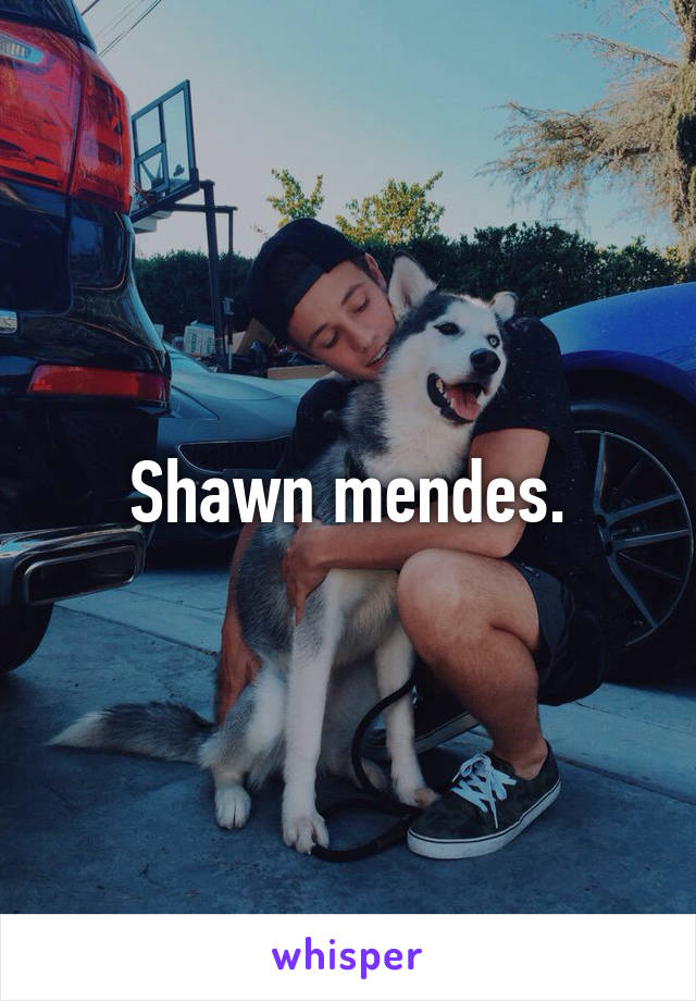 Shawn mendes.