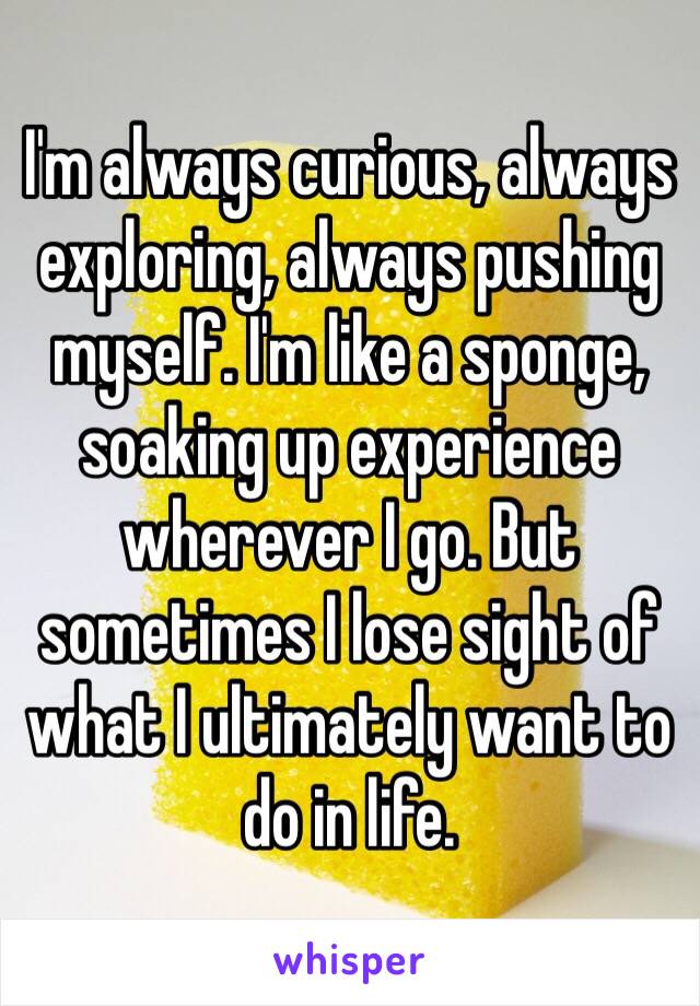 I'm always curious, always exploring, always pushing myself. I'm like a sponge, soaking up experience wherever I go. But sometimes I lose sight of what I ultimately want to do in life.