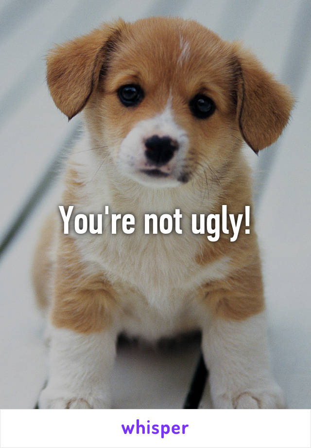 You're not ugly!