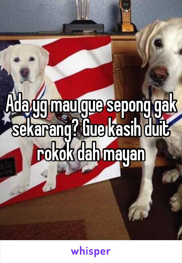 Ada yg mau gue sepong gak sekarang? Gue kasih duit rokok dah mayan