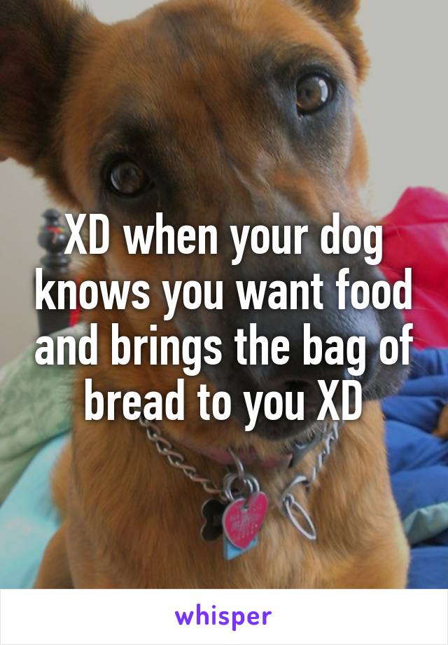 XD when your dog knows you want food and brings the bag of bread to you XD