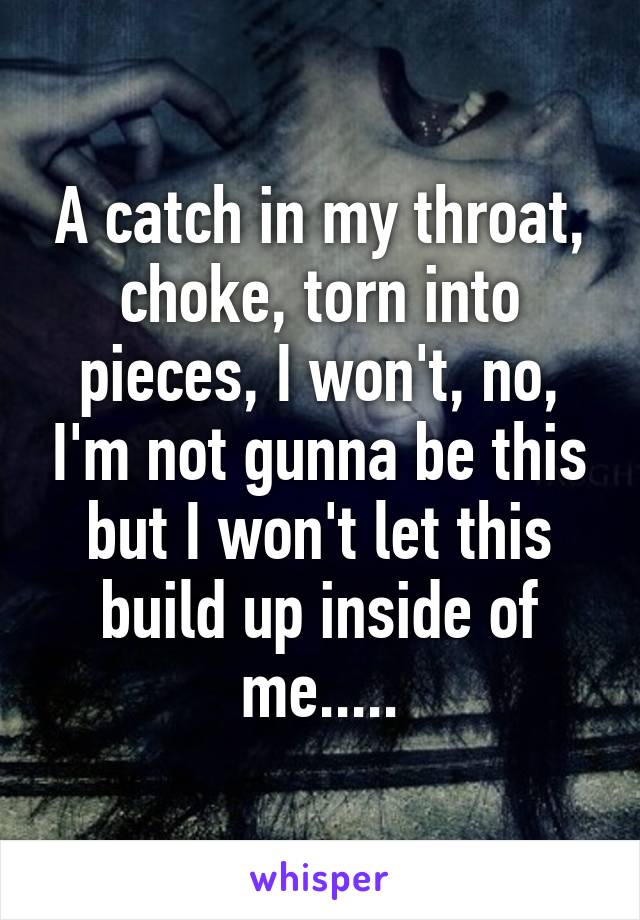 A catch in my throat, choke, torn into pieces, I won't, no, I'm not gunna be this but I won't let this build up inside of me.....