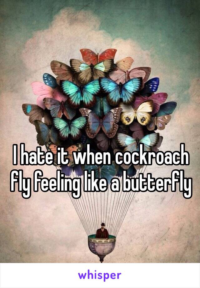 I hate it when cockroach fly feeling like a butterfly 