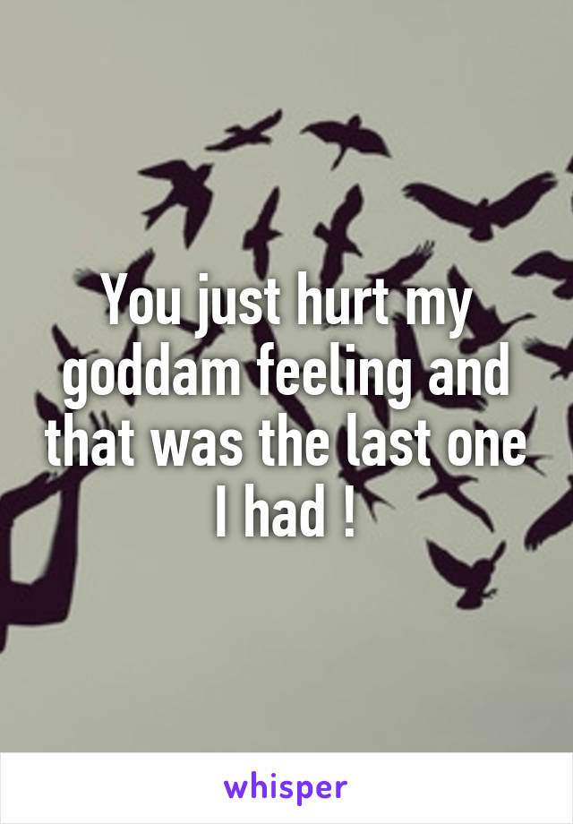 You just hurt my goddam feeling and that was the last one I had !