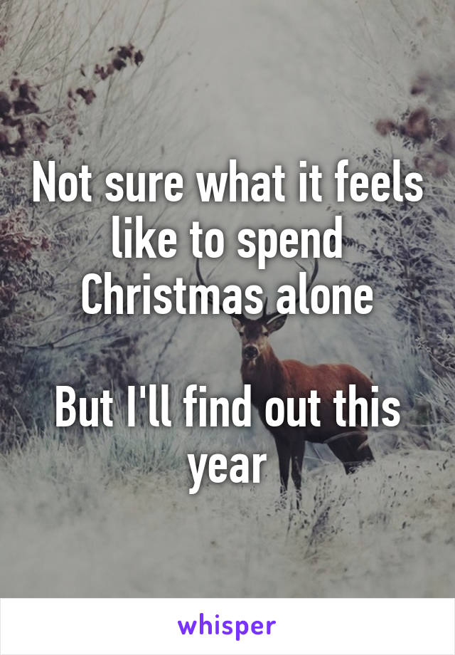 Not sure what it feels like to spend Christmas alone

But I'll find out this year