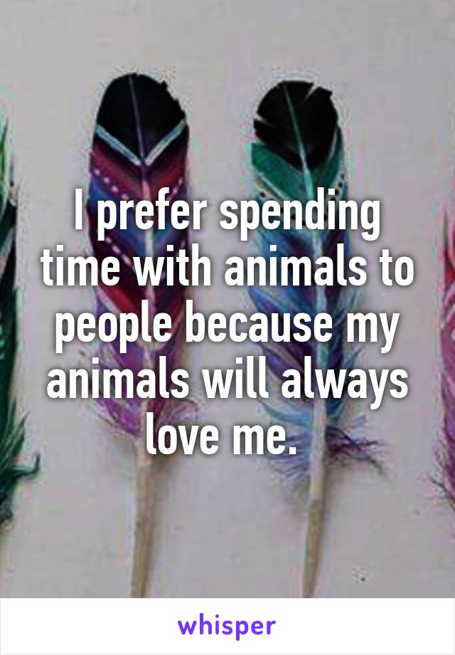 I prefer spending time with animals to people because my animals will always love me. 