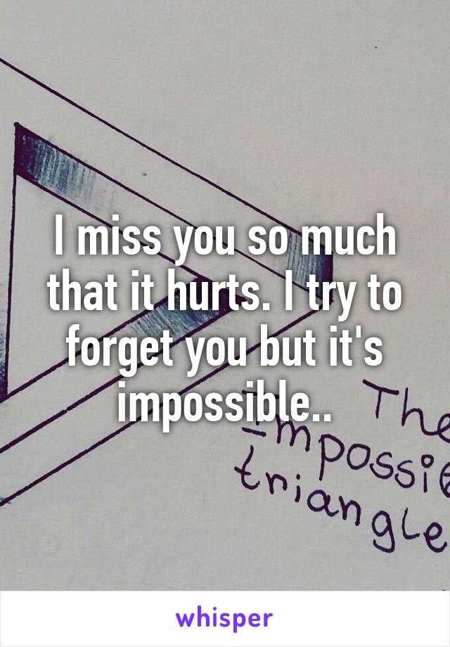 I miss you so much that it hurts. I try to forget you but it's impossible..