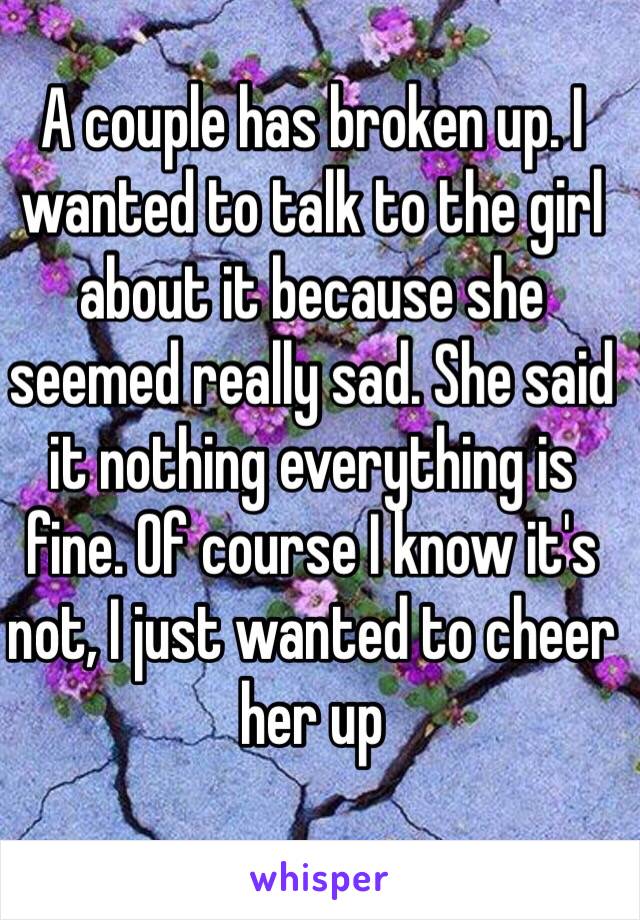 A couple has broken up. I wanted to talk to the girl about it because she seemed really sad. She said it nothing everything is fine. Of course I know it's not, I just wanted to cheer her up