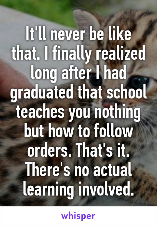 It'll never be like that. I finally realized long after I had graduated that school teaches you nothing but how to follow orders. That's it. There's no actual learning involved.