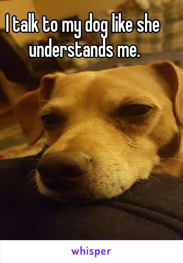 I talk to my dog like she understands me.