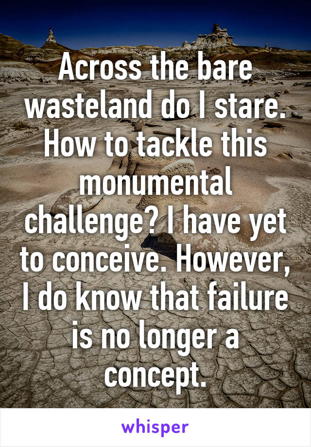 Across the bare wasteland do I stare. How to tackle this monumental challenge? I have yet to conceive. However, I do know that failure is no longer a concept.