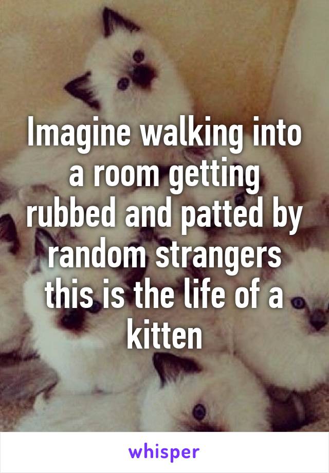 Imagine walking into a room getting rubbed and patted by random strangers this is the life of a kitten