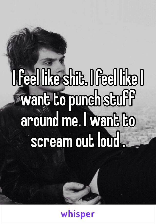 I feel like shit. I feel like I want to punch stuff around me. I want to scream out loud .