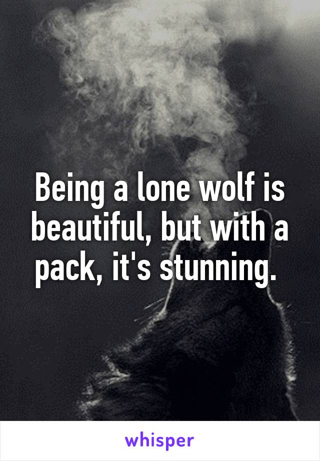 Being a lone wolf is beautiful, but with a pack, it's stunning. 