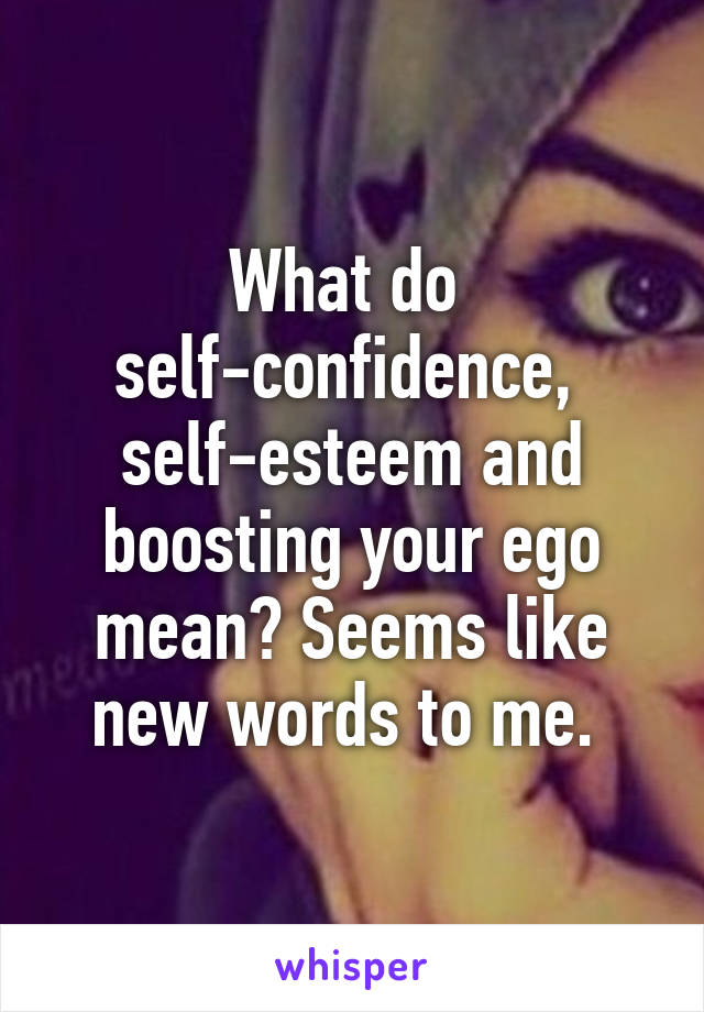 What do 
self-confidence, 
self-esteem and boosting your ego mean? Seems like new words to me. 