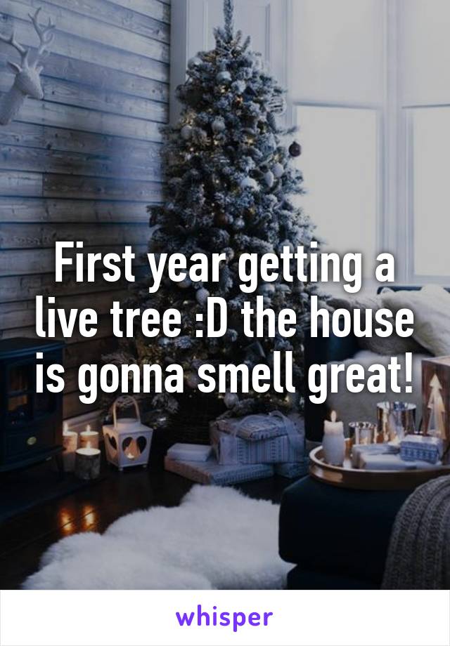 First year getting a live tree :D the house is gonna smell great!