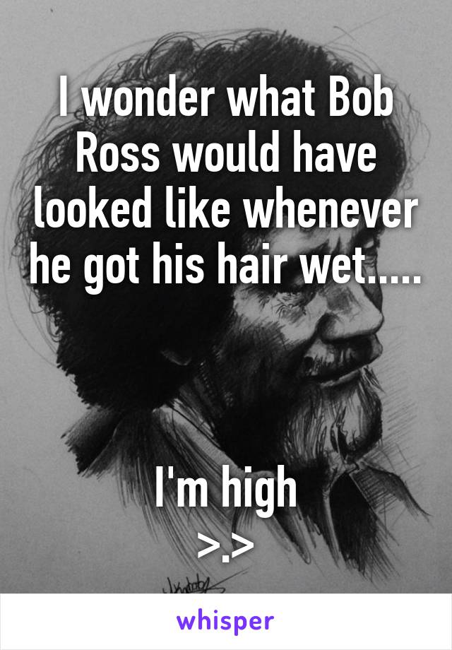 I wonder what Bob Ross would have looked like whenever he got his hair wet.....



I'm high
>.>