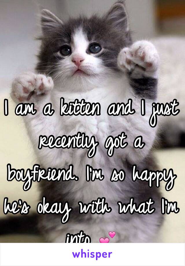 I am a kitten and I just recently got a boyfriend. I'm so happy he's okay with what I'm into 💕