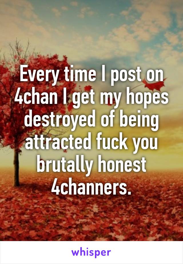 Every time I post on 4chan I get my hopes destroyed of being attracted fuck you brutally honest 4channers.