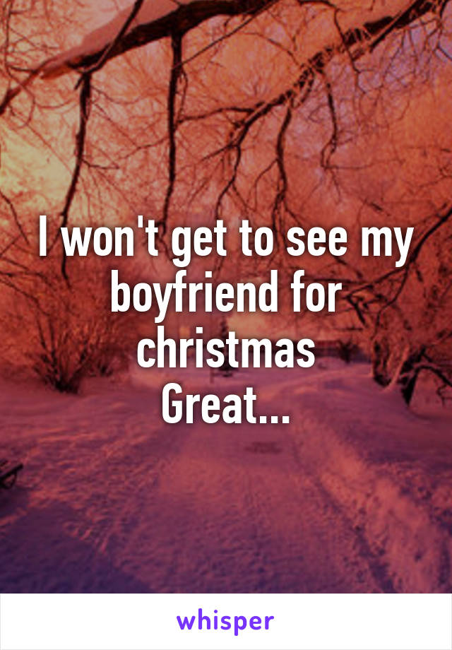 I won't get to see my boyfriend for christmas
Great...