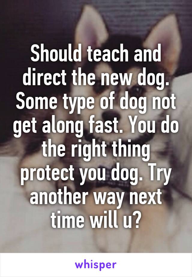 Should teach and direct the new dog. Some type of dog not get along fast. You do the right thing protect you dog. Try another way next time will u?