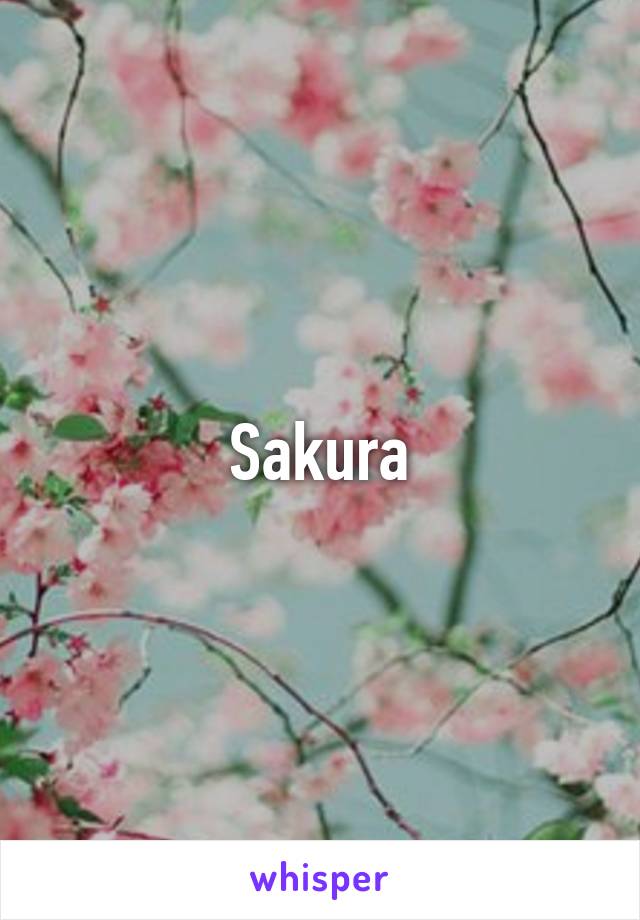 Sakura