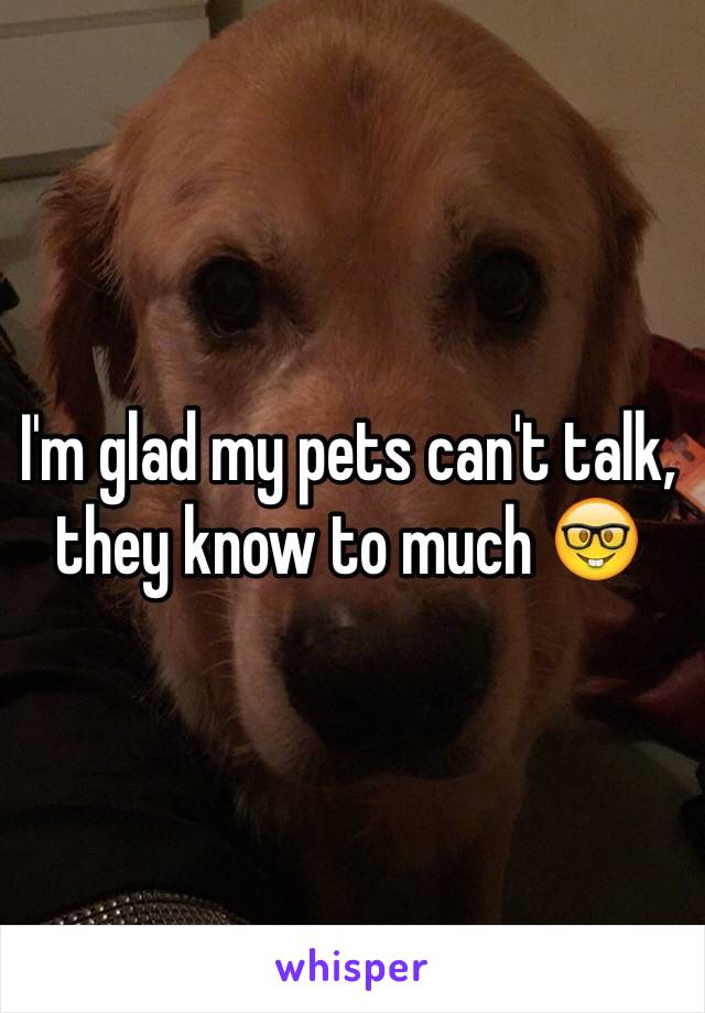 I'm glad my pets can't talk, they know to much 🤓