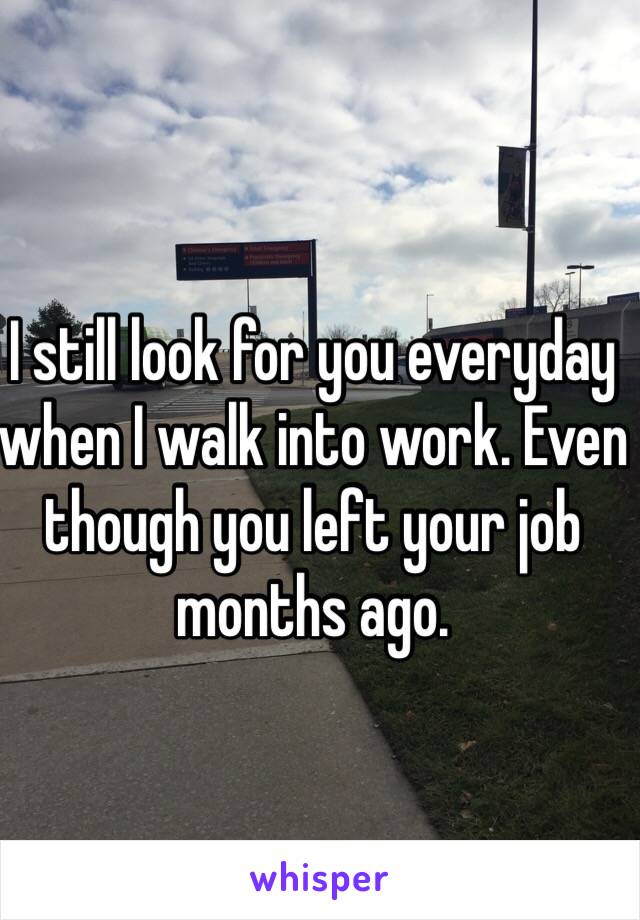 I still look for you everyday when I walk into work. Even though you left your job months ago.